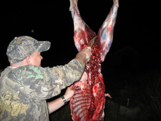 Man field dressing a deer at night