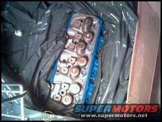 Engine cylinder head, blue painted, with valve springs and retainers visible