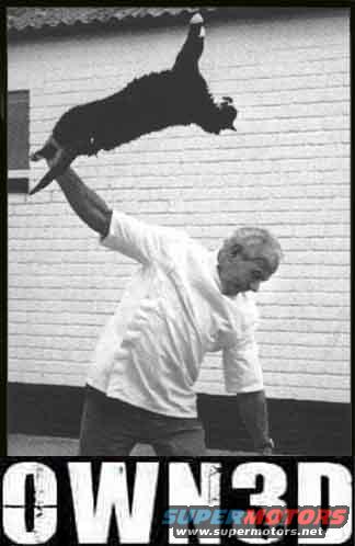 Man holding a black cat in front of a brick wall