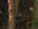 1990 Ford Bronco - A broken side mirror is hanging from a tree in a dark, wooded environment.