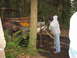 1990 Ford Bronco - A severely damaged truck is being winched out of a wooded area with a jack.