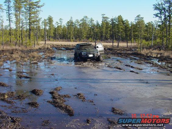 Dark green SUV with open driver door stuck in a muddy swamp, front 3/4 view