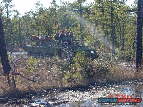 Military truck with people riding in the back, driving through a wooded, marshy area