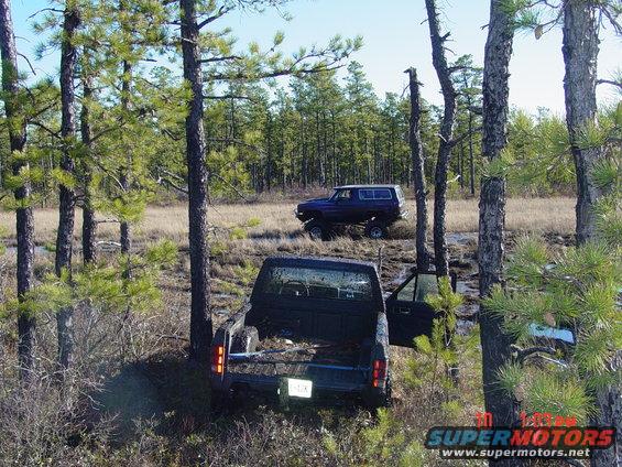 Black pickup truck with open door and blue SUV off-roading in a wooded marsh