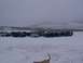 2003 Ford Ranger - Multiple vehicles gathered in a snowy landscape under an overcast sky.
