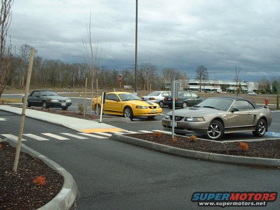 Tan convertible Mustang and yellow coupe Mustang parked in a lot