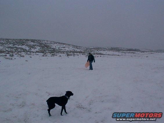 Dog in foreground, person with orange sled in background, walking across snowy field under overcast sky