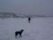 2003 Ford Ranger - A dog and a person with a sled are in a vast, snow-covered landscape under a gloomy sky.