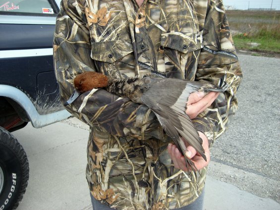 person in camo holding a dead duck