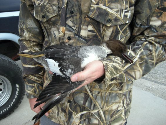 Person in camouflage holding a dead duck, with a tire and part of a vehicle visible