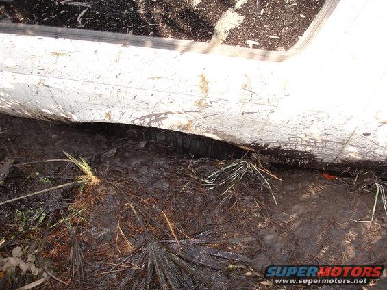 White vehicle side panel, mud-covered tire, and muddy ground with grass and debris