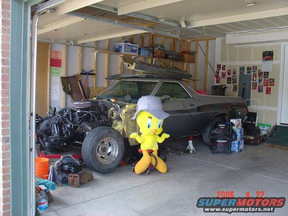 Tweety workin on Tweety