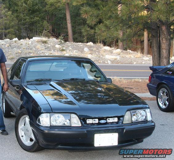 A shot up at Mt. Lemmon on a group run.