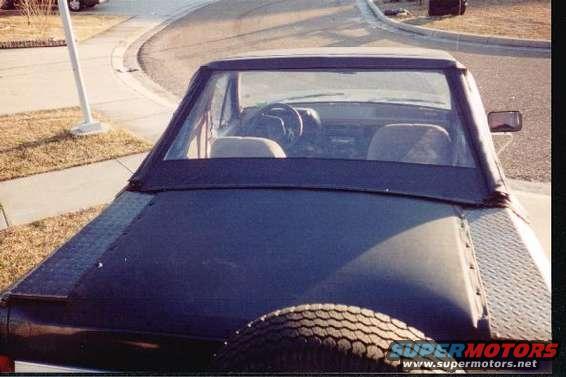 backview.jpg 