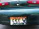 1999 Mercury Sable - O RLY?