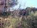 1995 Ford Bronco - A rural landscape a wooden fence and dense foliage under a clear blue sky.