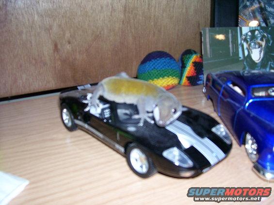 picture-098.jpg 
