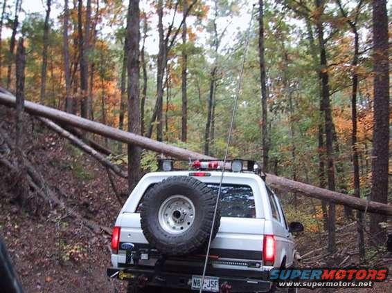 mike_about_to_lose_some_lights.jpg Mike about to lose some lights.