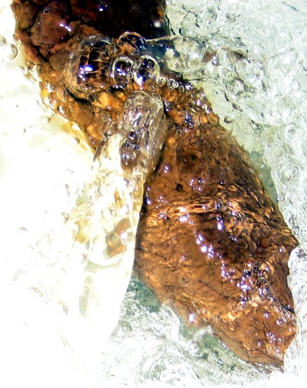 image001.jpg What is this?