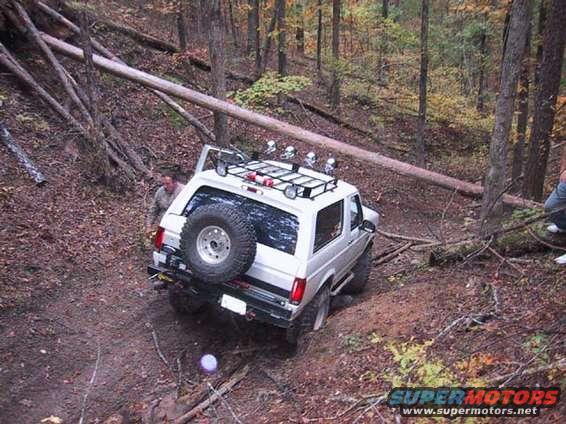 mike_about_to_lose_some_lights_2.jpg We had to get the hi-lift out and raise the tree enough to crawl under.