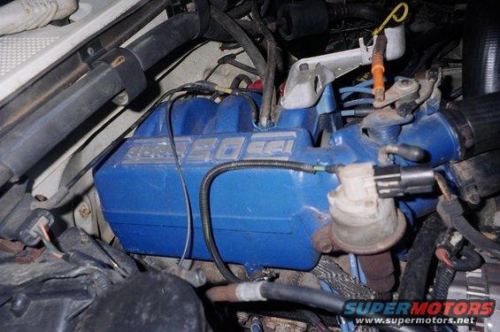 Blue engine intake manifold with '5.0 EFI' visible. Wires and hoses connected