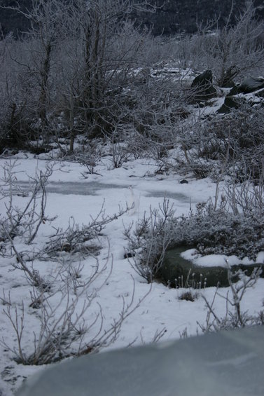 2006-l-dec-16_072.jpg 