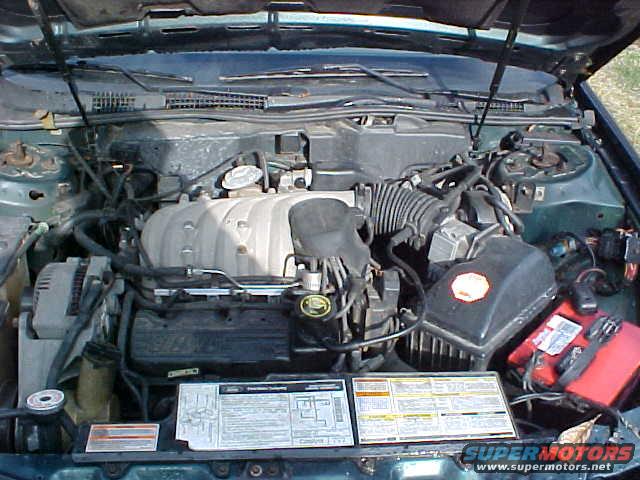Engine Bay