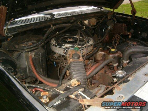 engine bay with air cleaner, hoses, and radiator visible