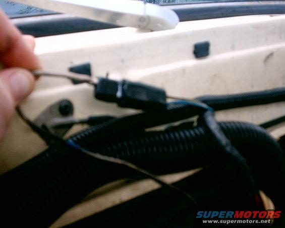 Close-up of engine wiring harness with a hand holding a wire