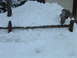 Shoveled snow