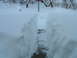 path to birdfeeder.