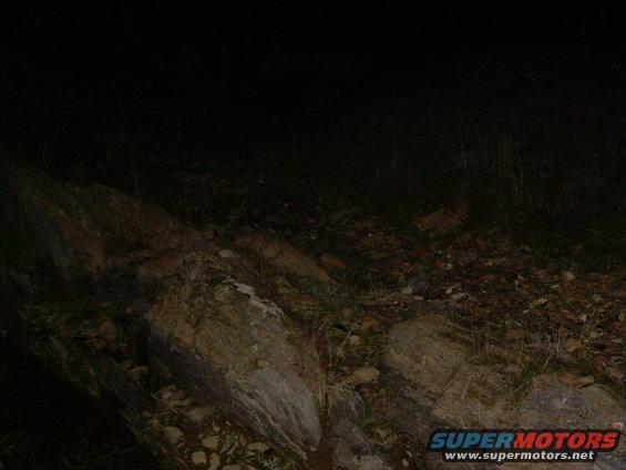 picture-006.jpg latrobe 6