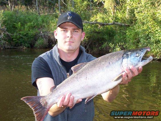 Man in a vest and cap holds a large salmon near a riverbank with trees