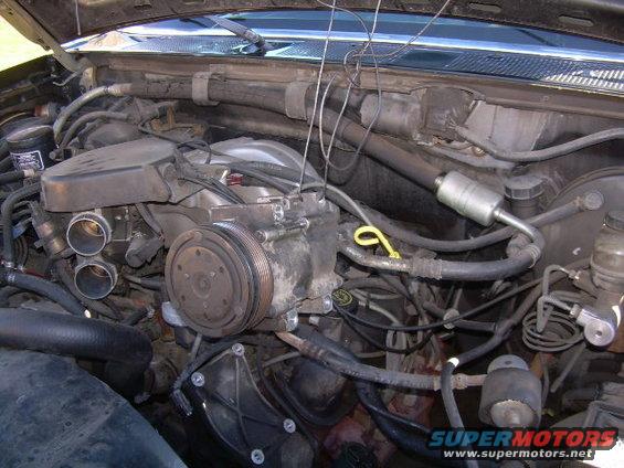Engine bay showing power steering pump and associated hoses