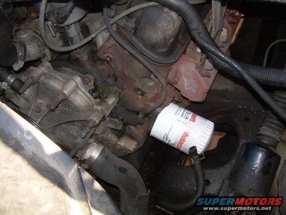 Motorcraft oil filter installed on an engine, with hoses and engine block visible