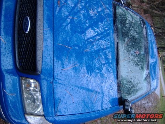 Blue Ford F-150 truck front corner, covered with a blue tarp