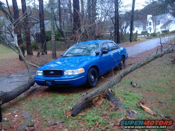 Blue sedan parked on a wet road with fallen trees around it