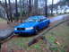 1998 Ford Crown Victoria - A blue sedan is parked on a wet road, partially obstructed by fallen trees.