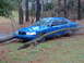 1998 Ford Crown Victoria - A blue 1998 Ford Crown Victoria is partially covered by fallen tree branches after a storm.