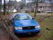 1998 Ford Crown Victoria - Fallen tree branches partially obscure a blue 1998 Ford Crown Victoria on a wet driveway.