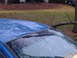 1998 Ford Crown Victoria - A blue car's roof shows damage from a fallen tree branch, with water droplets on the windshield.