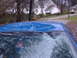 1998 Ford Crown Victoria - The blue car's roof shows significant damage, and the windshield is cracked, indicating it may have been involved in an incident.