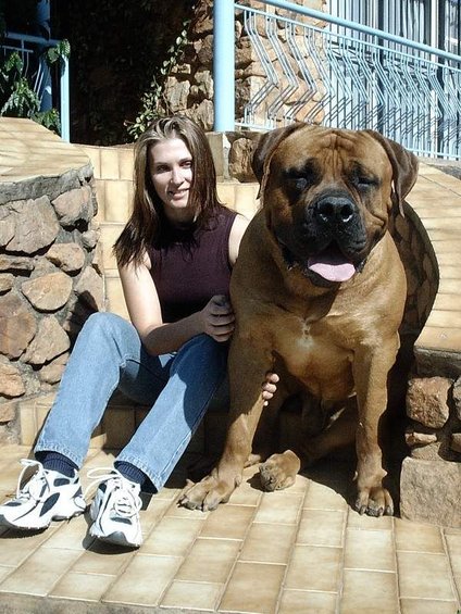Woman in jeans and sneakers sits on stone steps next to a large brown dog with its tongue out