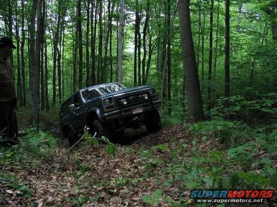 Dark green SUV off-roading in a forest, front-left view