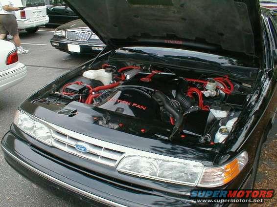 1997 Ford Crown Victoria engine bay with red hoses and black fan shroud