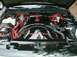1997 Ford Crown Victoria - Customized engine bay red hoses and black covers, with a 'CAUTION FAN' shroud.