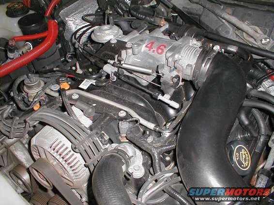 Close-up of a Ford 4.6L V8 engine with intake manifold and alternator visible