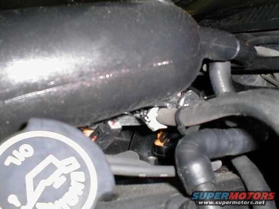 Engine intake manifold and hoses with oil cap visible