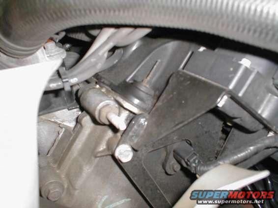 Close-up of engine parts, hoses, and wiring harness