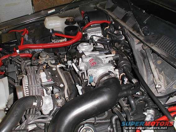 Engine bay with 4.6 badge on throttle body, red hoses, and black intake tube